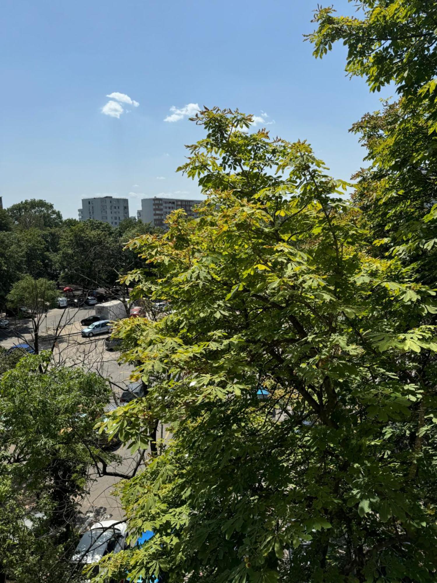Park Lake Apartment Bucarest Exterior foto